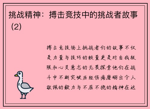 挑战精神：搏击竞技中的挑战者故事 (2)